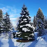 Dworek Nad Potokiem Karpacz