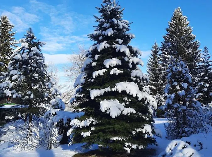Dworek Nad Potokiem Karpacz